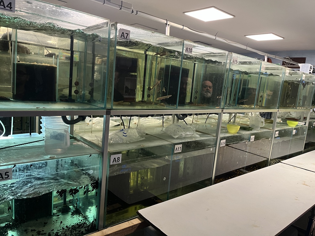 Visita sociale Auryfish