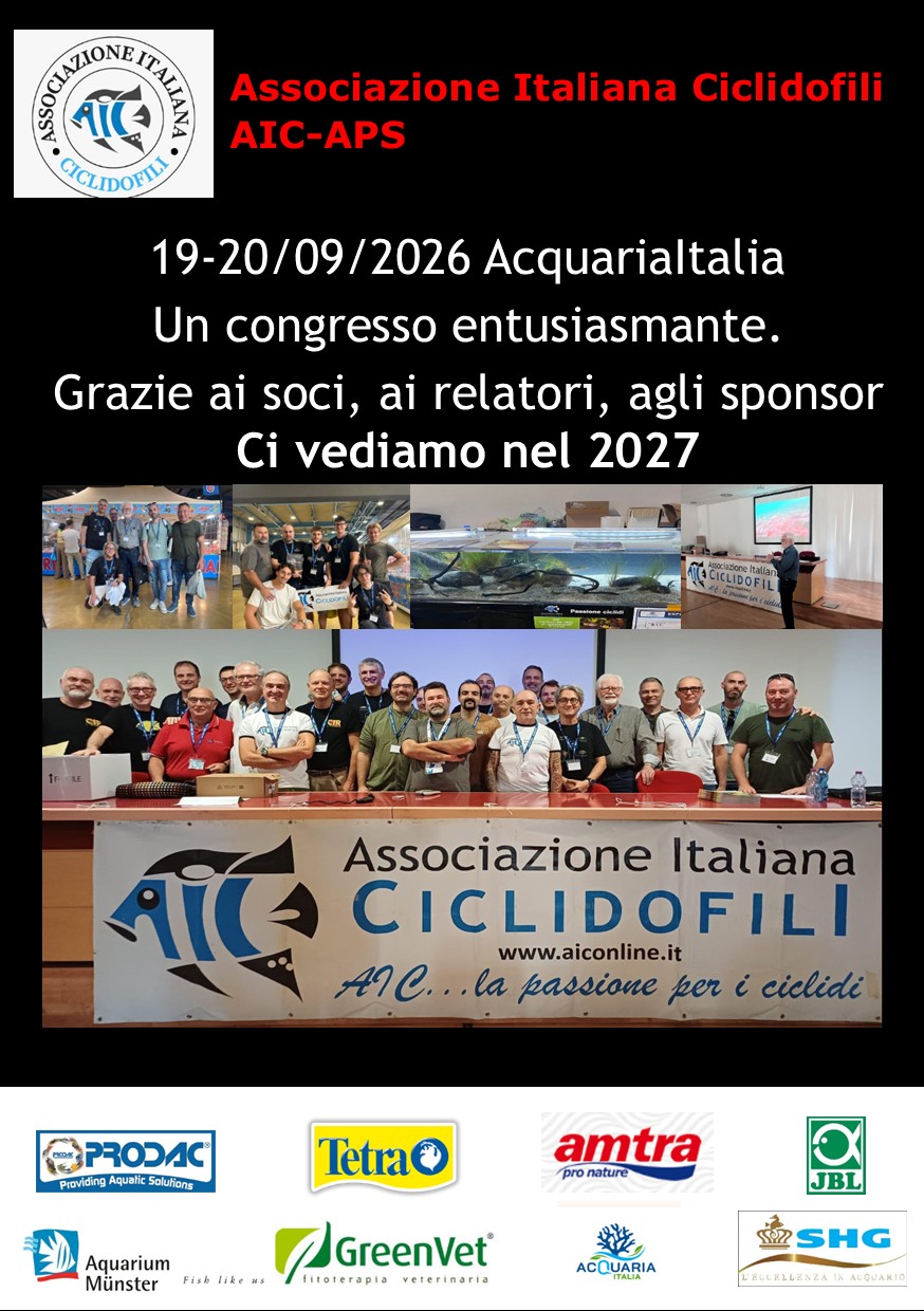 Ringramenti 2027