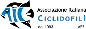 Ciclidi - Associazione Italiana Ciclidofili